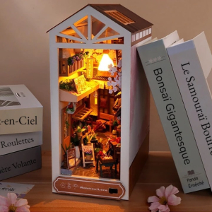 Maquette pour bibliothèque